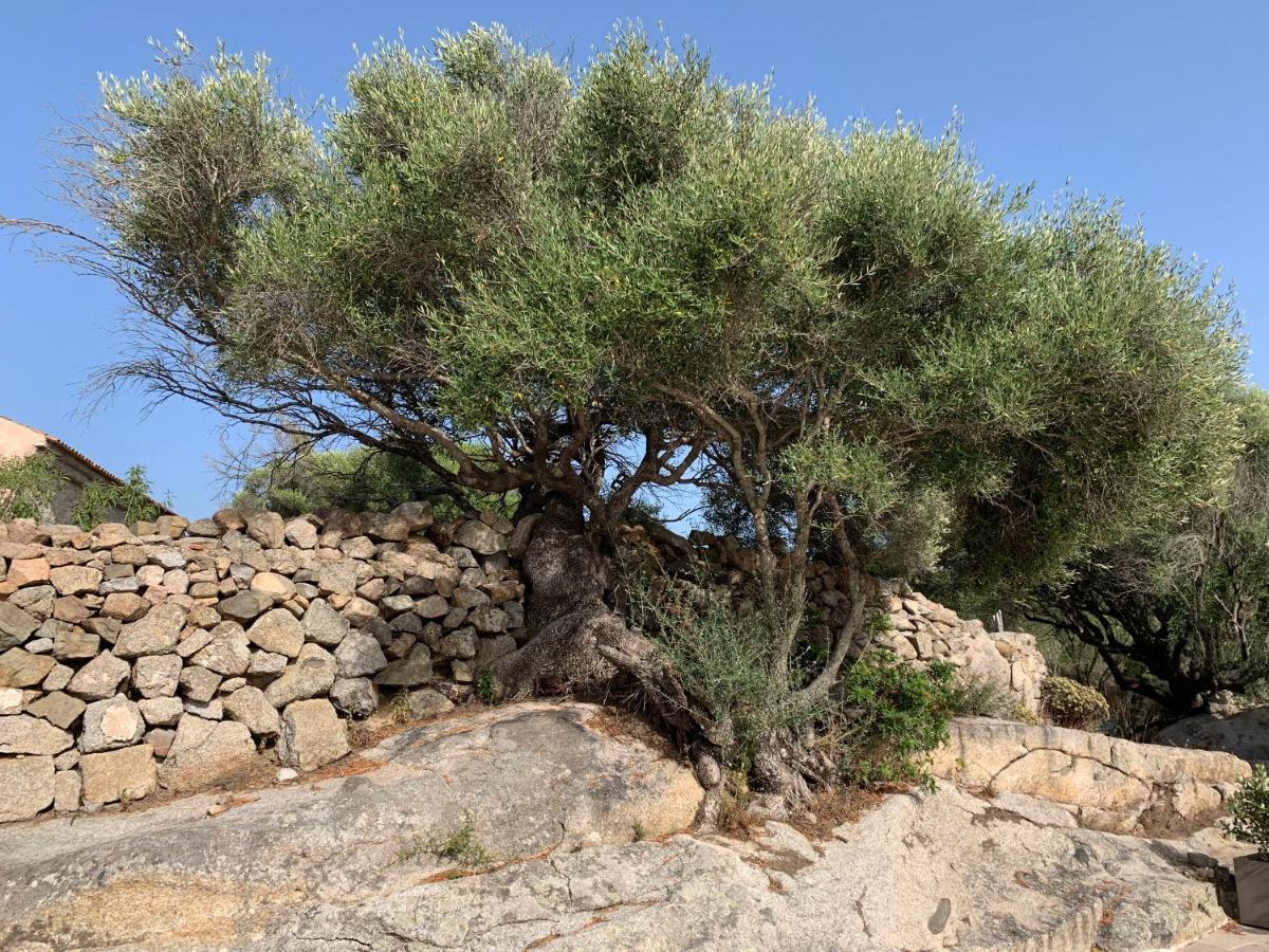 Stazzu Nuraghe Mannucciu Guest House Rena Majore Exterior photo