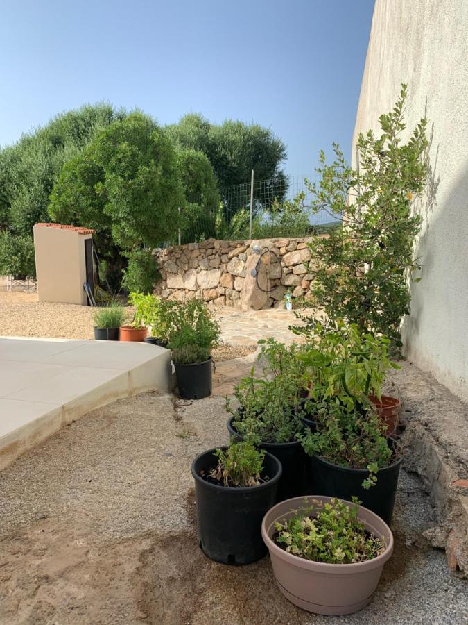 Stazzu Nuraghe Mannucciu Guest House Rena Majore Exterior photo